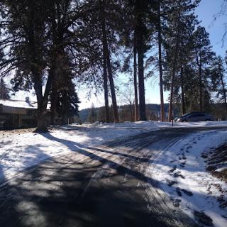 A serene winter landscape with a winding road surrounded by snow-covered trees.