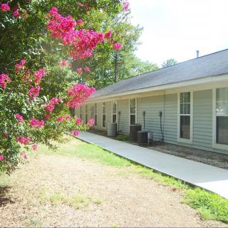 A one-story house with a flowering shrub in the foreground.