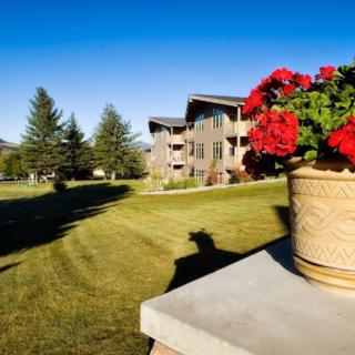 A sunny outdoor scene with a garden, featuring red flowers in a pot and a building in the background.
