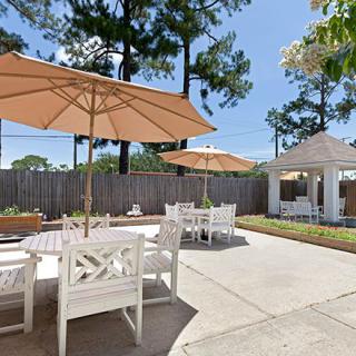 A sunny outdoor patio area with tables, chairs, and umbrellas surrounded by trees.