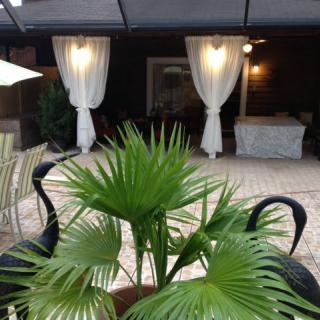 A relaxing outdoor patio with lush greenery and elegant white curtains.