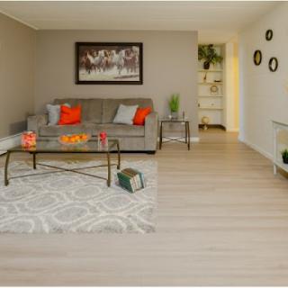 A stylish and modern living room featuring a comfortable sofa adorned with colorful cushions, a sleek coffee table, and tasteful artwork on the walls.