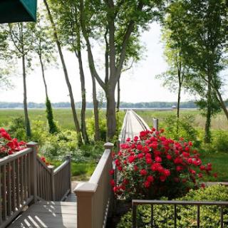A serene view of a garden path lined with vibrant flowers leading into a lush landscape.