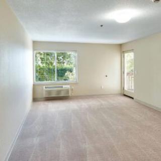 An empty apartment living room with natural light coming through a window.