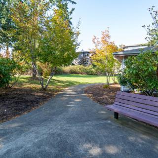 A peaceful park scene with a pathway and a bench surrounded by trees on a sunny day.