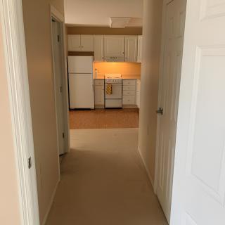 A view down a hallway leading to a kitchen in an apartment.