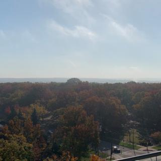 A scenic view of a tree-filled landscape with autumn foliage under a clear sky.