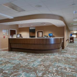A modern reception area with a curved desk and decorative carpet.