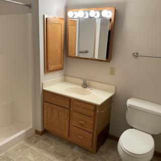 A bathroom with a vanity, mirror, and shower.