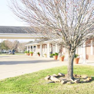 A serene view of a bare tree in front of quaint buildings, highlighting the tranquility of a rural setting.