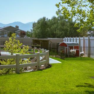 A tranquil backyard garden with lush green grass, a wooden fence, and scenic mountain views on a sunny day.