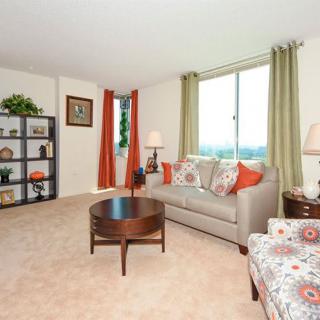 A cozy living room with a sofa, coffee table, and decorative elements.