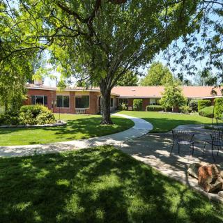 A sunny garden with a winding pathway and lush greenery surrounding a cozy house.