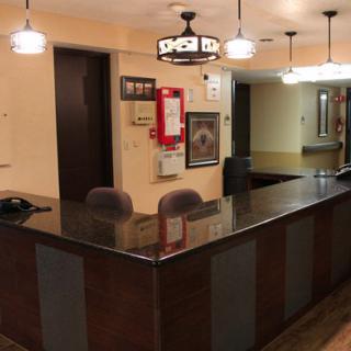 A well-lit reception area with a sleek wooden desk and comfortable chairs.