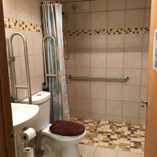 A tiled bathroom featuring a toilet, sink, shower area with curtain, and accessibility grab bars.