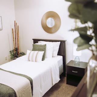 A serene and minimalist bedroom featuring a neatly made twin bed with green accents, complemented by simple decor.