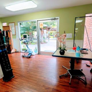 A welcoming pet grooming salon featuring a spacious interior, wooden floors, and bright lighting, perfect for furry visitors.