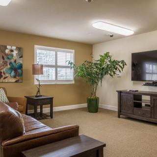A cozy living room with a sofa, television, and indoor plant.