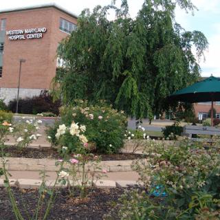 Western Md Hospital Center