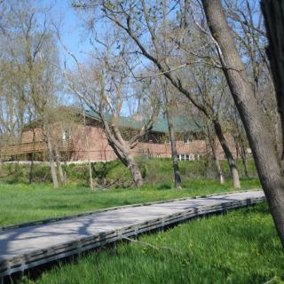 A serene pathway through a green landscape with trees and a building in the background.