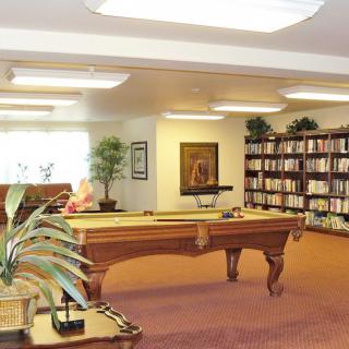 A cozy room with a pool table and bookshelves filled with books.