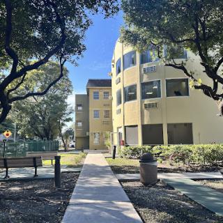 A sunny day view of a modern building surrounded by greenery, featuring a clear pathway amidst the trees.