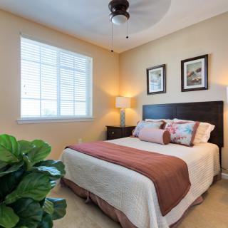 A cozy bedroom featuring a neatly made bed with colorful pillows, decorated with artwork and illuminated by a lamp next to a window.