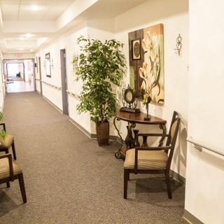 A well-decorated hallway with seating, artwork, and plants.