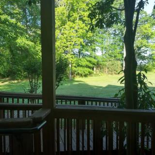 A peaceful view from a wooden deck overlooking a lush, green lawn surrounded by trees.