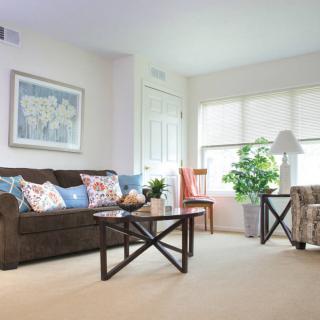 A cozy living room with a sofa, armchair, and coffee table accented by decorative cushions and an indoor plant.