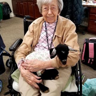 An elderly woman enjoys some quality time with a small goat, showcasing the joy of animal companionship.