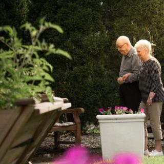 An elderly couple enjoying a stroll in the garden, surrounded by lush greenery and potted plants.