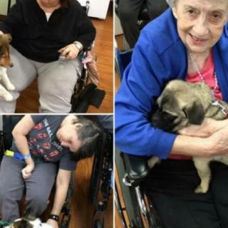 Elderly individuals in a care facility enjoying the companionship of puppies.