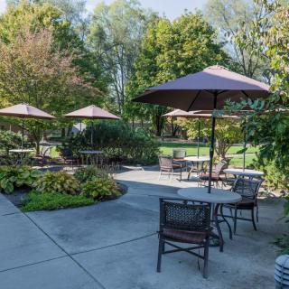 A sunny outdoor patio with tables, chairs, and umbrellas surrounded by lush greenery.