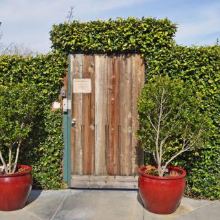 A rustic wooden door set within a lush hedge, flanked by two potted plants in vibrant red pots.