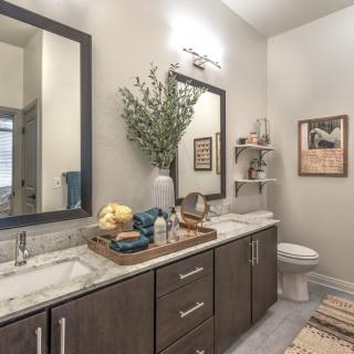A modern bathroom with a double sink vanity, decorative plants, and a well-lit mirror.