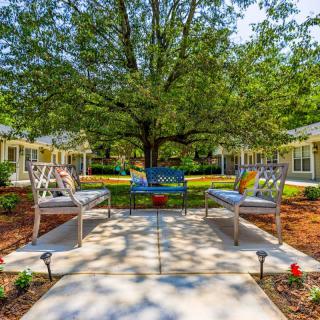A serene garden setting with benches under a large tree and a landscaped pathway.