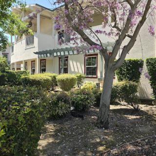 A serene view of a building surrounded by lush greenery and blooming flowers.