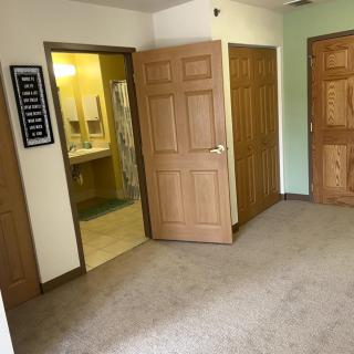 A room featuring carpet flooring and multiple wooden doors, with a bathroom visible in the background.