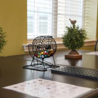 A cozy bingo setup with a bingo cage and colorful balls, surrounded by decorative plants.