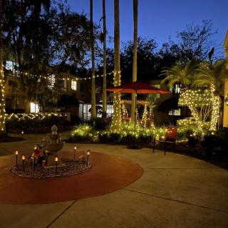 A beautifully lit garden at night, featuring palm trees and festive decorations.
