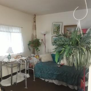 A cozy living room featuring a comfortable sofa adorned with a teal blanket, surrounded by houseplants and decorative elements.