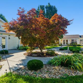 A beautifully landscaped yard featuring a central tree with red leaves, surrounded by shrubs and a well-maintained garden in front of a house.