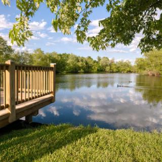 A peaceful lakeside view with a wooden deck, surrounded by lush greenery and a clear blue sky reflected in the water.