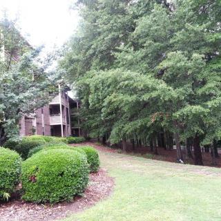 An apartment building surrounded by lush trees and well-maintained shrubbery.