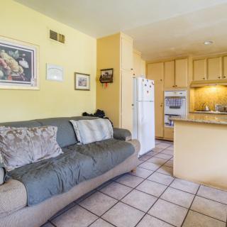 A cozy living room with a sofa and an open-concept kitchen featuring modern appliances.