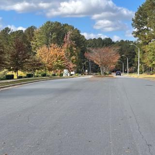 A quiet street lined with autumn trees under a partly cloudy sky.