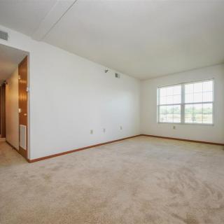 An empty room with white walls and a carpeted floor, featuring a large window letting in natural light.