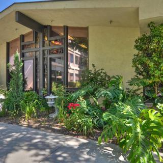 A lush garden with various plants in front of a building with large windows.