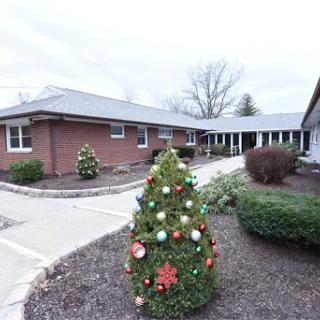 A view of a building decorated for Christmas, featuring festive trees and a winding pathway.